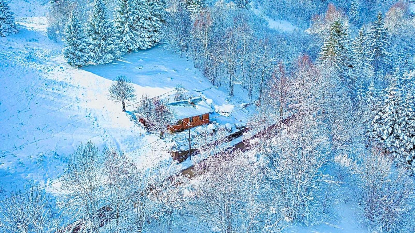 Kuca Za Odmor Gorski Kotar Brestova Draga Buitenkant foto